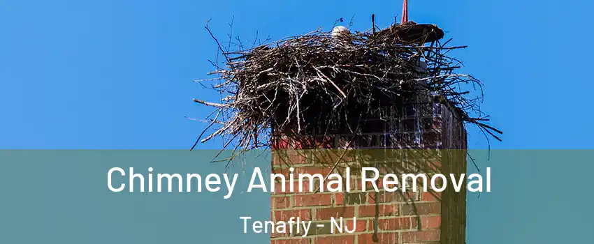  Chimney Animal Removal Tenafly - NJ