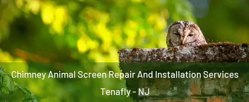  Chimney Animal Screen Repair And Installation Services Tenafly - NJ