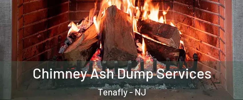  Chimney Ash Dump Services Tenafly - NJ