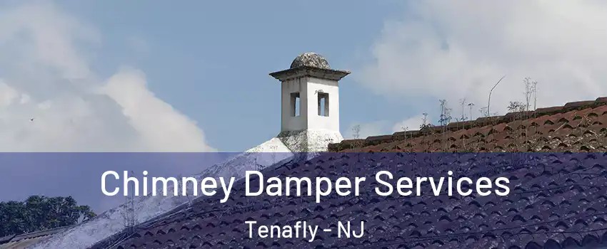  Chimney Damper Services Tenafly - NJ
