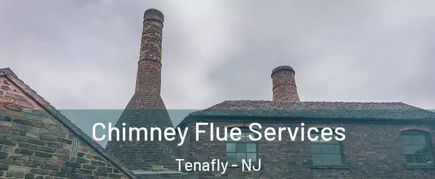  Chimney Flue Services Tenafly - NJ