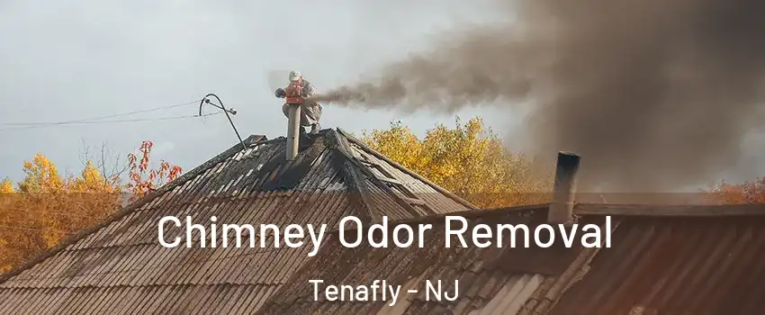  Chimney Odor Removal Tenafly - NJ
