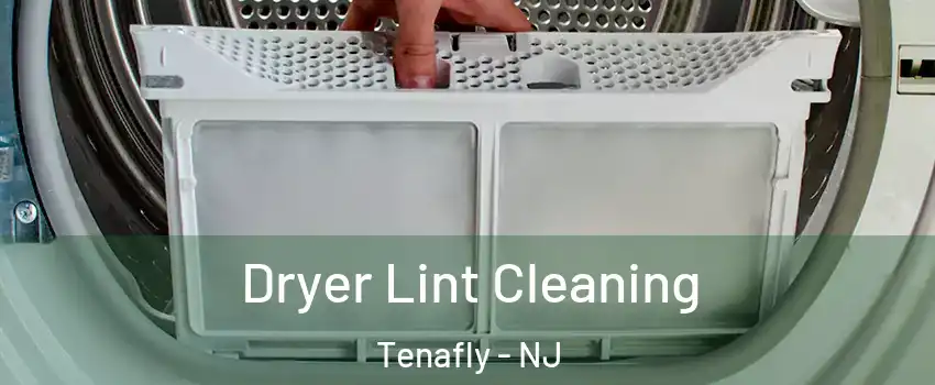  Dryer Lint Cleaning Tenafly - NJ