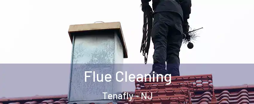  Flue Cleaning Tenafly - NJ