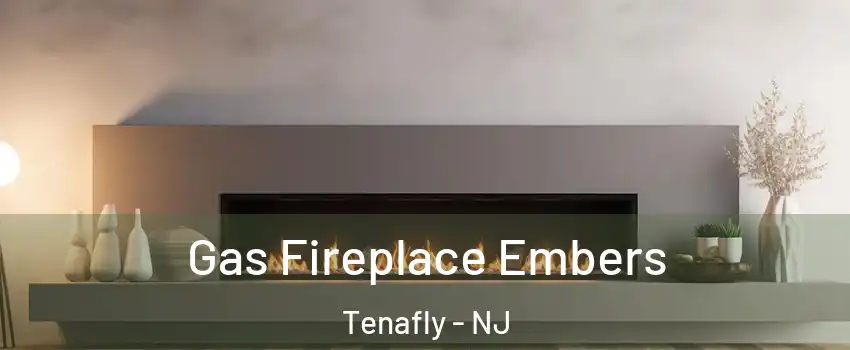  Gas Fireplace Embers Tenafly - NJ