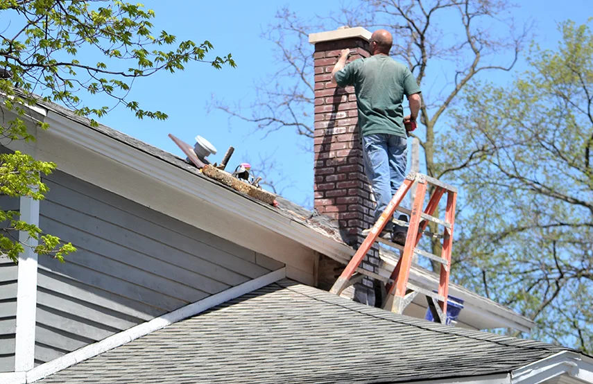 Chimney & Fireplace Inspections Services in Tenafly, NJ
