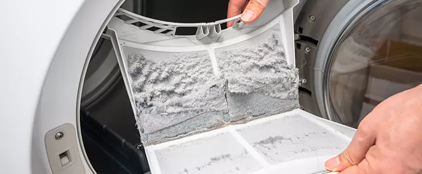 Best Dryer Lint Removal Company in Tenafly, New Jersey