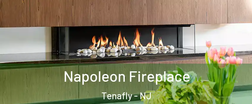  Napoleon Fireplace Tenafly - NJ